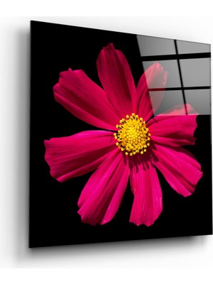 Insigne Kırmızı Çiçek Cam Tablo - 40X40 cm