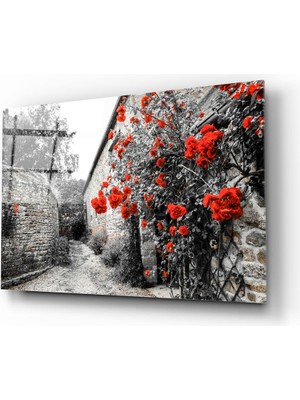 Insigne Kırmızı Gül Cam Tablo - 72X46 cm