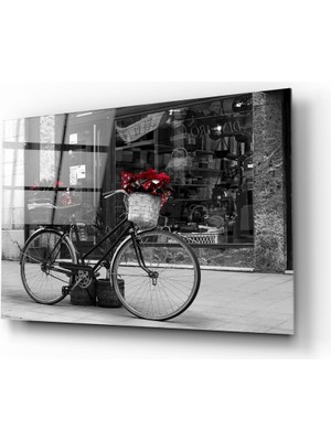 Insigne Bisiklet Cam Tablo - 72X46 cm