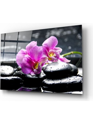 Insigne Spa Cam Tablo - 72X46 cm