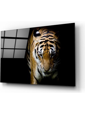 Insigne Kaplan Cam Tablo - 72X46 cm