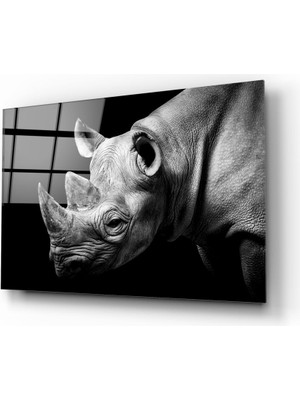 Insigne Gergedan Cam Tablo - 72X46 cm