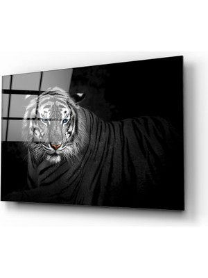 Insigne Kaplan Cam Tablo - 72X46 cm