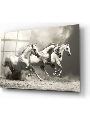 Insigne Koşan Atlar Cam Tablo - 72X46 cm