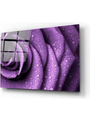 Insigne Mor Gül Cam Tablo - 72X46 cm