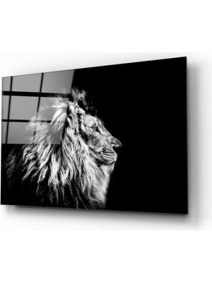 Insigne Aslan Cam Tablo - 72X46 cm