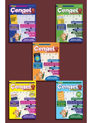 Gong Çengel Bulmaca 5'li Set 2