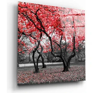 Kızıl Ağaç Cam Tablo - 60X60 cm