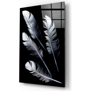Tüy Cam Tablo - 72X46 cm