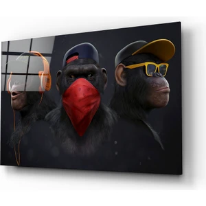 3 Maymun Cam Tablo - 110X70 cm