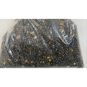 Macar Fiğ Tohumu Kansur 1 kg