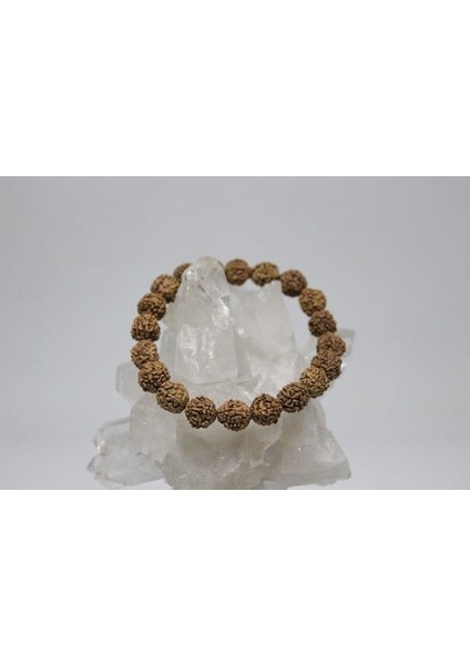 Rudraksha Tohum Bileklik 8mm