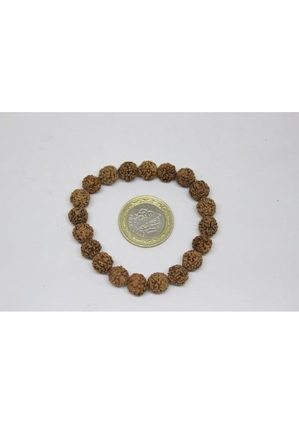 Rudraksha Tohum Bileklik 8mm fiyatları