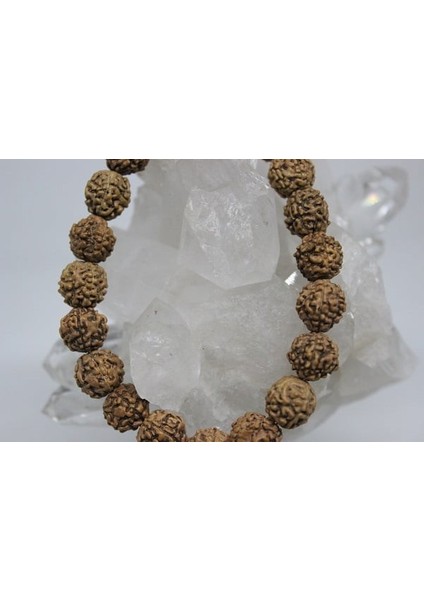 Rudraksha Tohum Bileklik 8mm modelleri