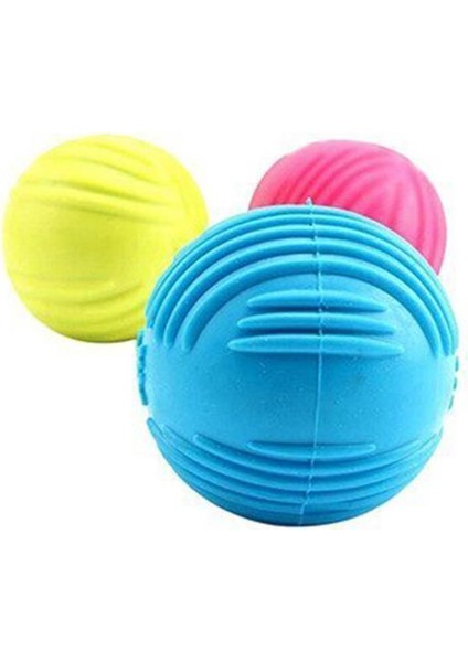 Lion Pet Sesli Kedi Köpek Topu