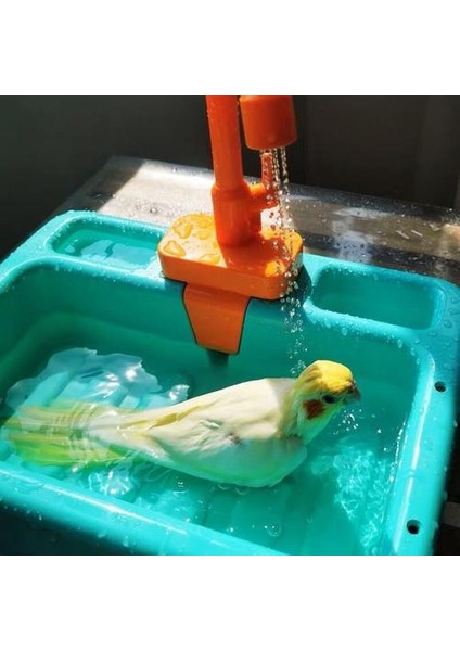 Güzel ve Pratik Papağan Kuş Banyosu Pet Papağan Banyo Taşınabilir Açık Kuş Aksesuarları Papağan Oyuncaklar Kuş Bahçesi | Kuş Banyoları indirimleri