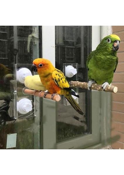 Kuş Papağan Ahşap Ayakta Sopa Raf Vantuz Duş Levrek Çubuk Banyo Oyuncak Pet Kaynağı | Kuş Oyuncakları