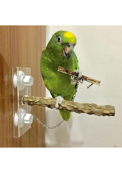 Kuş Papağan Ahşap Ayakta Sopa Raf Vantuz Duş Levrek Çubuk Banyo Oyuncak Pet Kaynağı | Kuş Oyuncakları