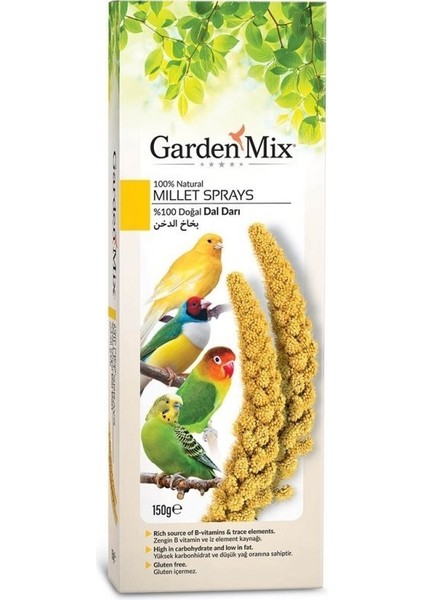 Garden Mix  Platin Sarı Dal Darı