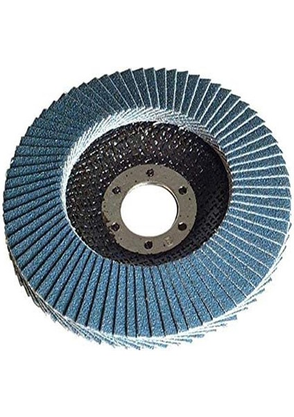 180X22.23MM Z-60 7''x7/8'' Flap Disk 10 Adet