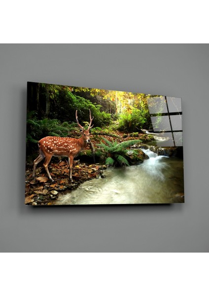 Orman Cam Tablo - 72X46 cm
