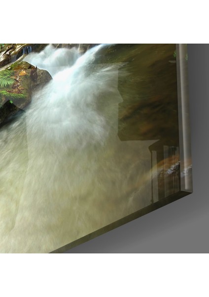 Orman Cam Tablo - 72X46 cm