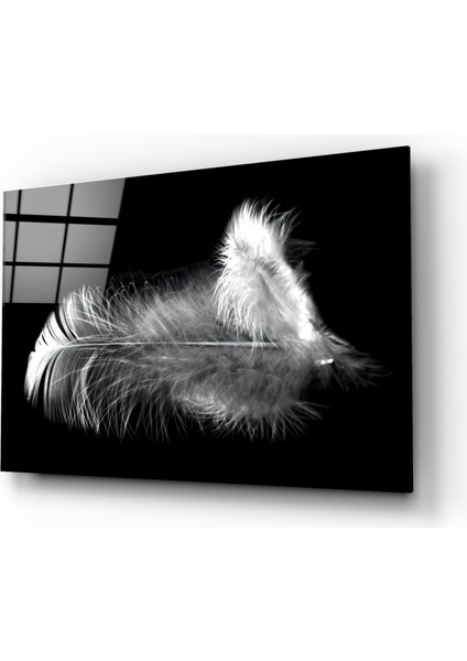 Tüy Cam Tablo - 72X46 cm