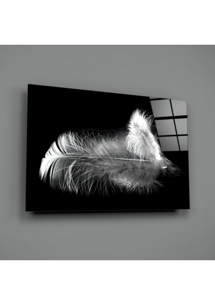 Tüy Cam Tablo - 72X46 cm