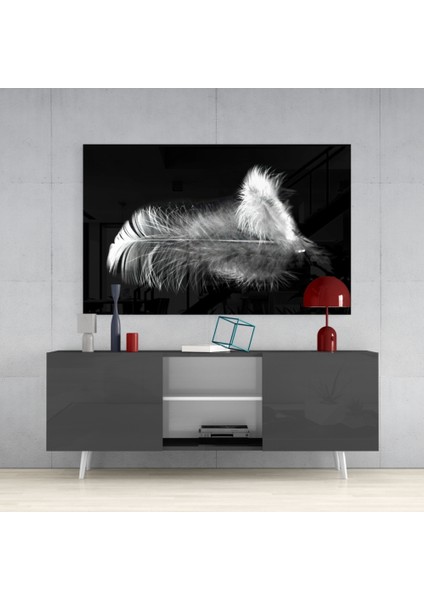 Tüy Cam Tablo - 72X46 cm