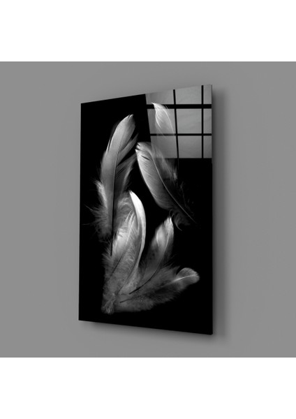 Tüy Cam Tablo - 72X46 cm