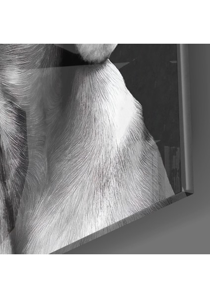 Masum Köpek Cam Tablo - 72X46 cm