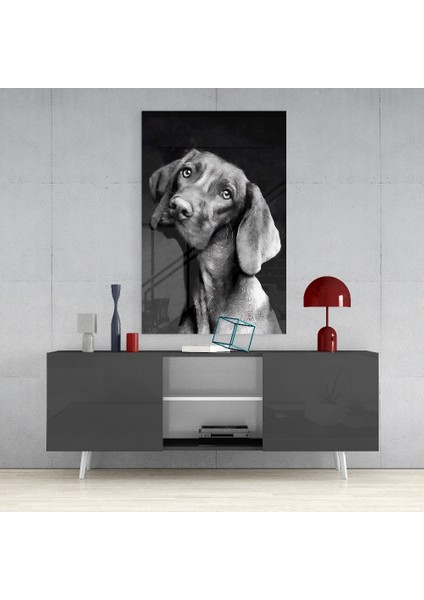 Masum Köpek Cam Tablo - 72X46 cm
