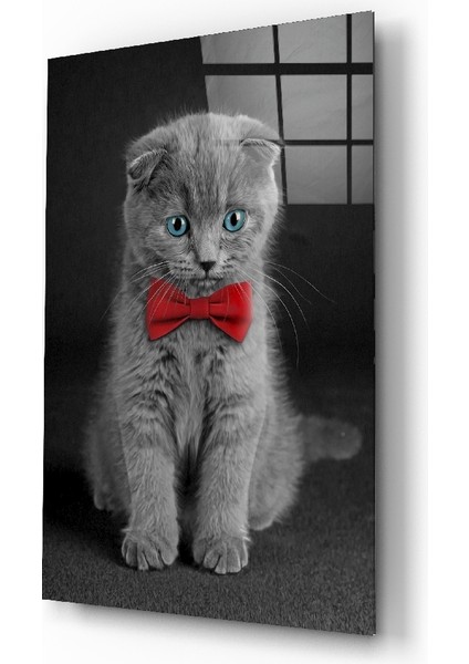 Kedi Cam Tablo - 72X46 cm