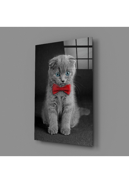 Kedi Cam Tablo - 72X46 cm fiyatları
