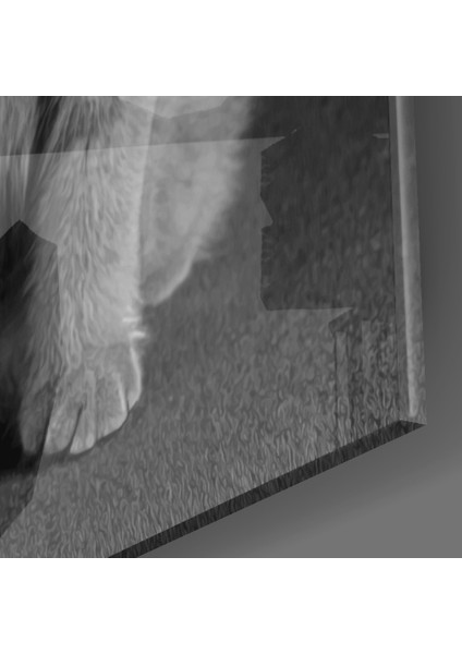 Kedi Cam Tablo - 72X46 cm modelleri