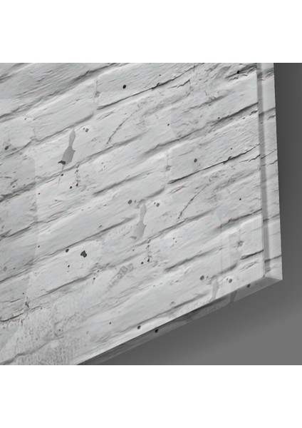 Sevimli Aktivist Cam Tablo - 72X46 cm