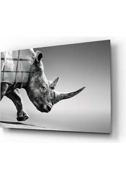 Siyah Gergedan Cam Tablo - 72X46 cm