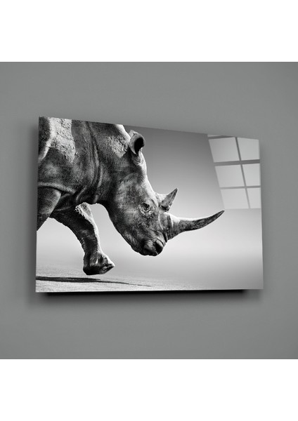 Siyah Gergedan Cam Tablo - 72X46 cm fiyatları