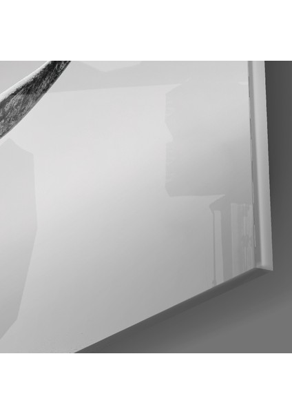 Siyah Gergedan Cam Tablo - 72X46 cm modelleri