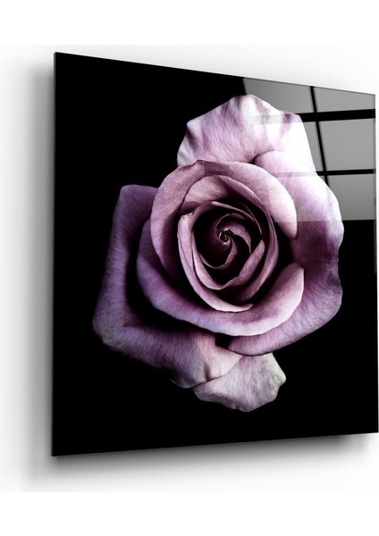 Mor Gül Cam Tablo - 80X80 cm