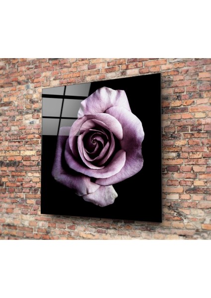 Mor Gül Cam Tablo - 80X80 cm fiyatları