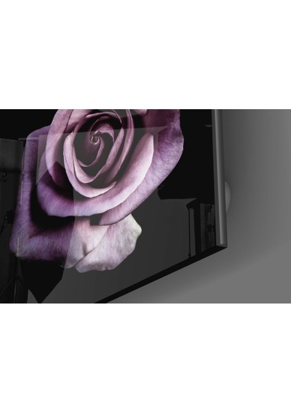 Mor Gül Cam Tablo - 80X80 cm modelleri