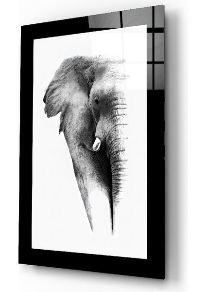 Fil Cam Tablo - 72X46 cm