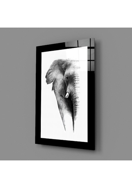 Fil Cam Tablo - 72X46 cm
