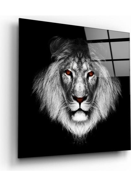 Aslan Cam Tablo - 60X60 cm