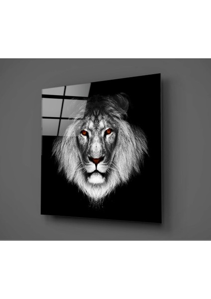 Aslan Cam Tablo - 60X60 cm fiyatları