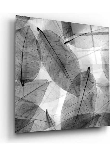 Siyah-Beyaz Yapraklar Cam Tablo - 60X60 cm