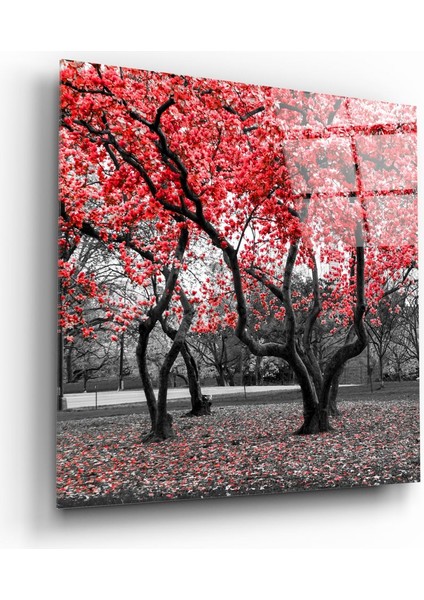 Kızıl Ağaç Cam Tablo - 60X60 cm