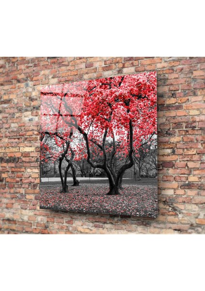 Kızıl Ağaç Cam Tablo - 60X60 cm fiyatları