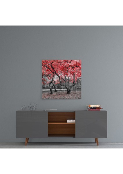Kızıl Ağaç Cam Tablo - 60X60 cm fırsatları